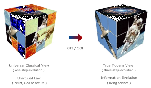information evolution (medial)